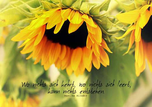 Naturfoto mit Sonnenblumen und Spruch von Monika Minder