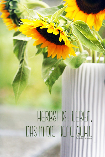 Naturfoto mit Sonnenblumen in Vase und Spruch von Monika Minder