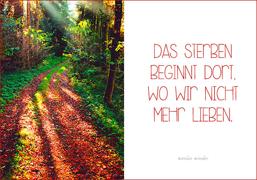 Naturfoto mit Waldlichtung im Herbst und Spruch von Monika Minder