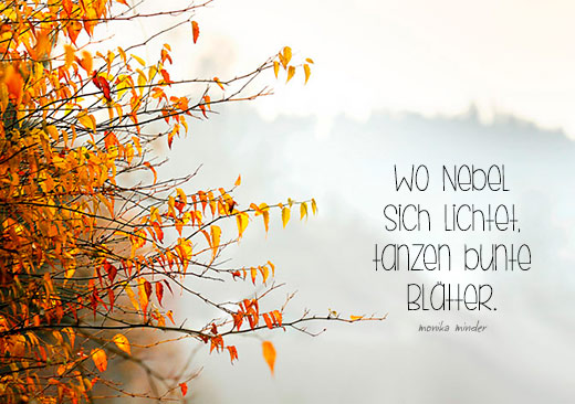 Naturfoto mit goldenem Blätterstrauch im Nebel und Spruch von Monika Minder