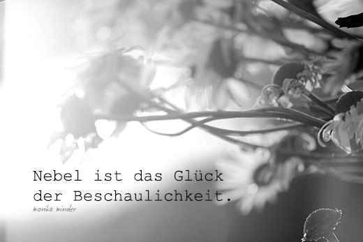 Naturfoto mit Margeriten in Nebel-Lichtstimmung und Spruch von Monika Minder