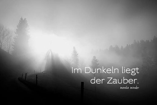 Naturfoto mit Nebelstimmung und Lichtstrahl durch Waldlandschaft sowie Spruch von Monike Minder